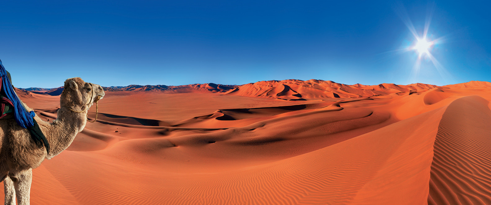 Moroccan Desert Camel Ride